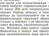 Определение пола будущего ребенка по таблицам.