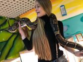 Прошли четыре длинных выходных...ооооо