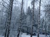 Новогоднего настроения в ленту