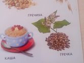 А как у Вас?