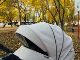 Прогулка ☀️🍂🍁осень прекрасна 😍пока