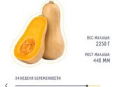 Мы тыква😄 🎃