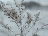 Давно меня не было в соц.сетях :)