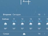 Лето-не лето(