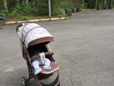 Семейные выходные 👨‍👩‍👧‍👦🍼🌲🐾
