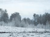 Давно меня не было в соц.сетях :)
