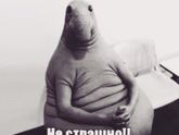 Вот такое состояние уже подключается?