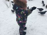 Зима зима❄️☃️