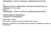 Помогите расшифровать мазок на флору
