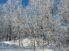 IMG_20171213_194446