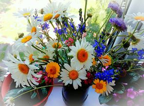 IMG-20170128-WA0004