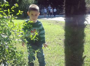 IMG_20170929_123829_401.jpg