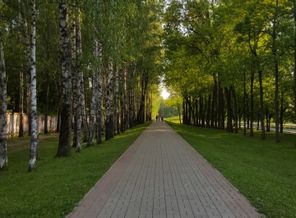 20170530_191438
