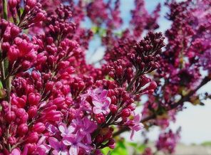 B612_20170518_135410