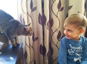 IMG_20170516_111732_134