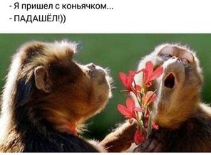 IMG-e20c5098d9a7549e66ad338262005f3d-V