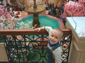 IMG_20170506_233557_369