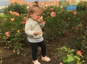Очень любим нюхать цветочки🌸