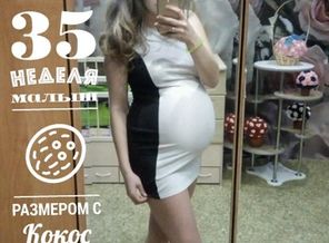 malyshi_image_15182155812
