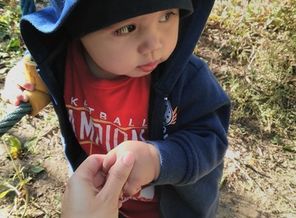 IMG_20170920_151519