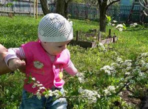 IMG_20170503_082207
