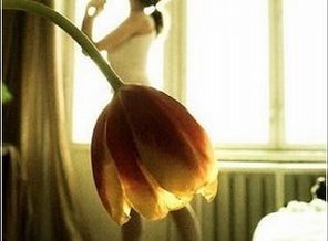 creative_photo1