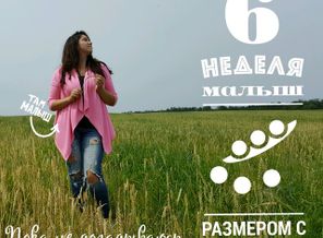 malyshi_image_15033438708