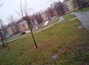 IMG_20171112_142618