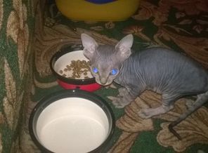 IMG_20170622_135209_19