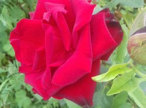 20170722_112850