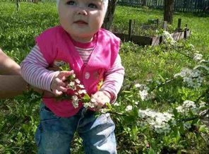 image-0-02-05-5305a7276c03fd03566418127689e368728ad5a67bb466d108a524b9265e0484-V