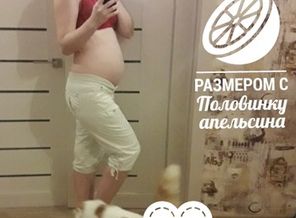 malyshi_image_15193078734