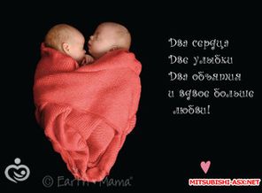 image-0-02-05-ce823aa9ba25c20320a18e492f8e90e4991ef7086fed8ada97042810e650e002-V
