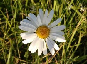 image-0-02-04-abd17851b68d3e28ec85550212a533d8ad85a58233c01915dd0b6d8a982fe4a7-V