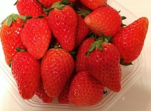 IMG_20171213_194446