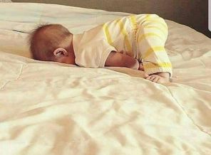 IMG-20171121-WA0132