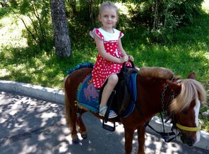 IMG_20170714_135404