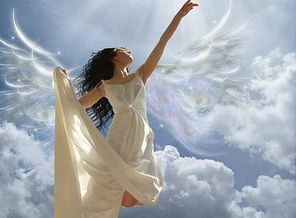 flying-free