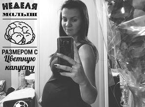 malyshi_image_15023111710