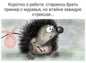 received_1962384714087065