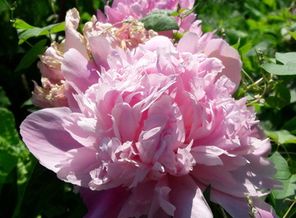 20170619_100821