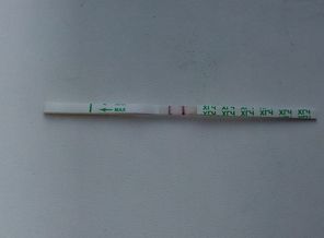 IMG_20170610_062739