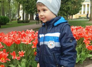 IMG_20170429_162754_122