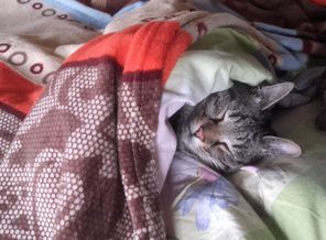 20170808_094949.jpg
