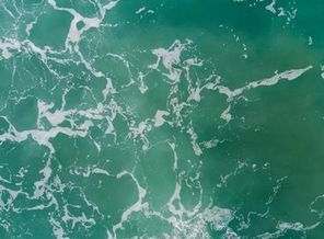 international_sea (1)_&_1e0e6f9e-d133-4248-8653-86de7ec8b428