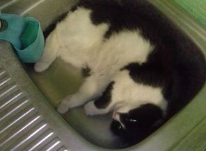IMG_20170930_222430.jpg