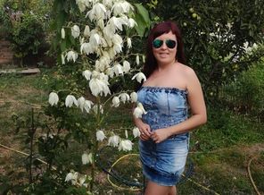 IMG_20170714_182302