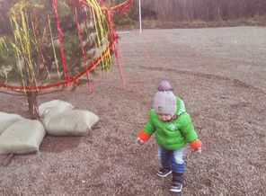IMG_20171222_154029