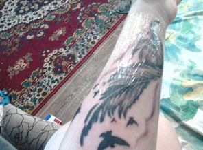 IMG_20170508_204229