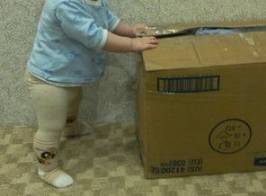 IMG-91e653a66016e7c9e7fd6e1db554d579-V